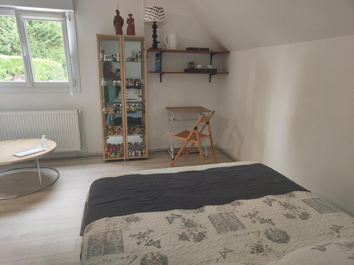 Suite Privee Avec Vue Sur Le Jardin Douai Esterno foto